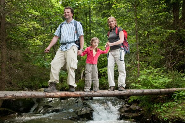Eine Familie balanciert über einen Baumstamm im Wald.